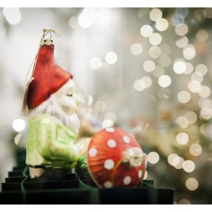 Muzika 20161216