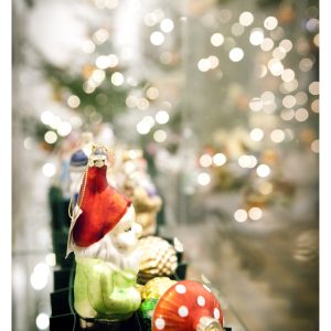Muzika 20161216