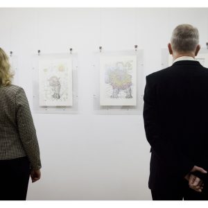 Dali paroda 20170204