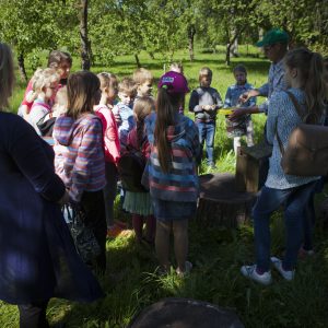 Obelyne 20170608