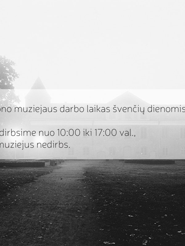 Darbolaikas2018 03