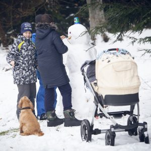 Obelyne 20190113