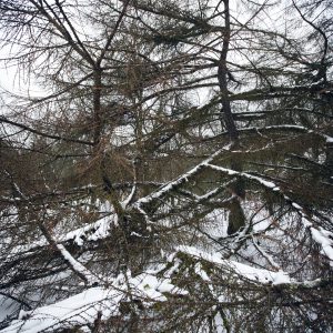 Obelyne 20190113