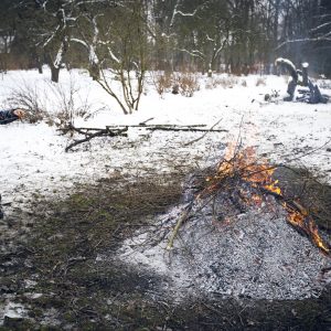 Obelyne 20190113
