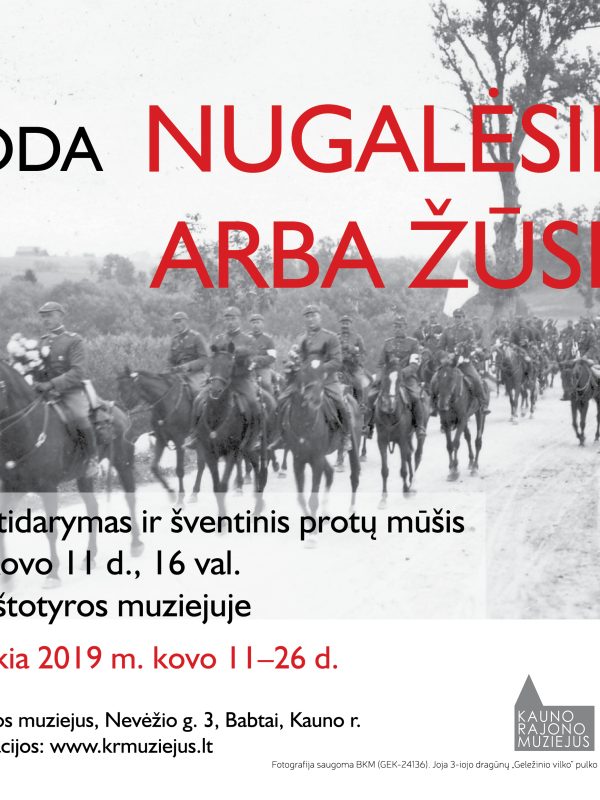 Plakatas nugalesimarbazusim