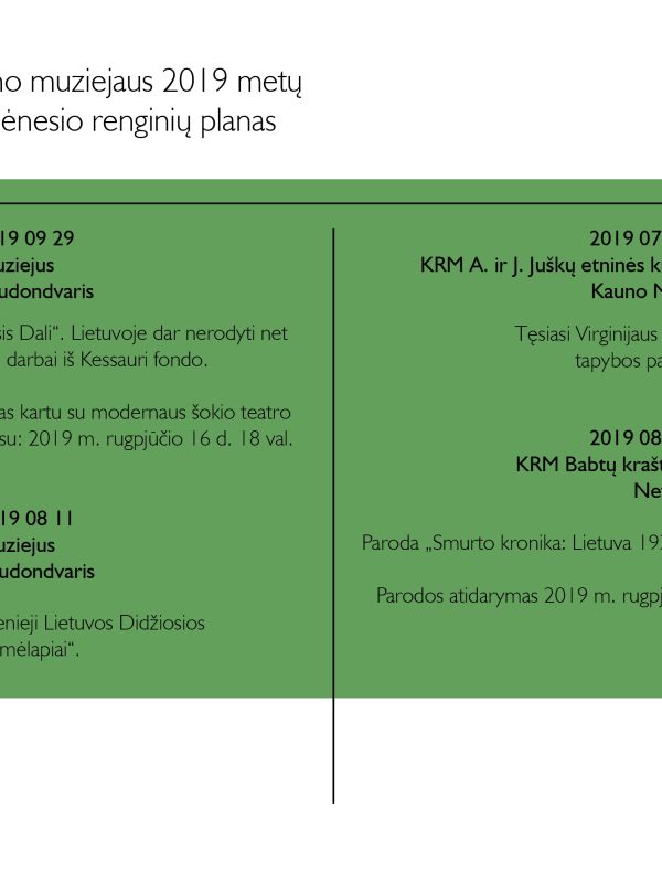 KRM 2019 08 renginiai