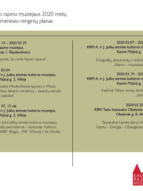 KRM 2020 03 renginiai