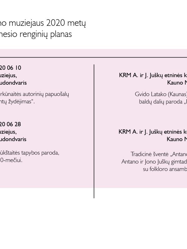 KRM 2020 06 renginiai