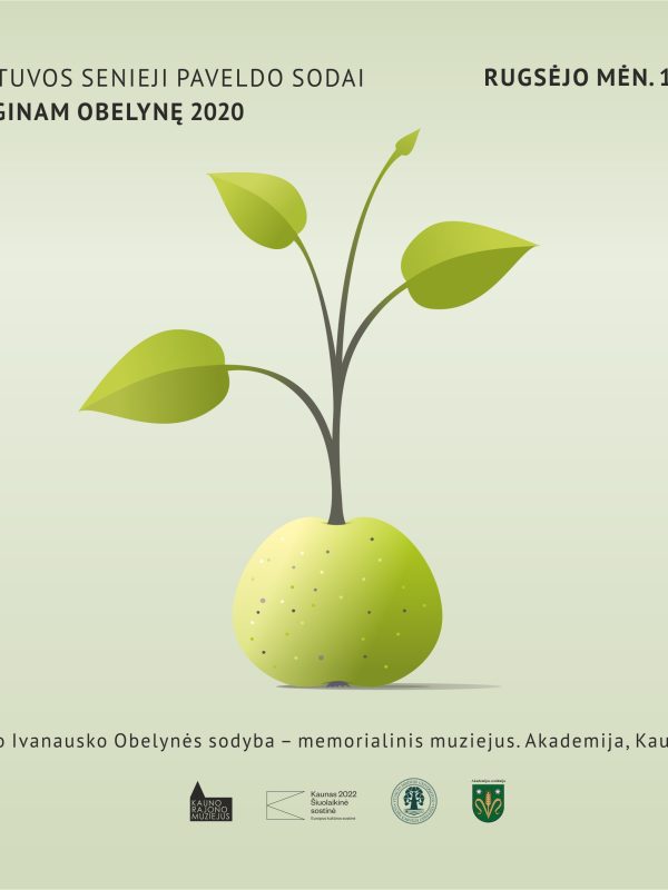 Auginam obelyne