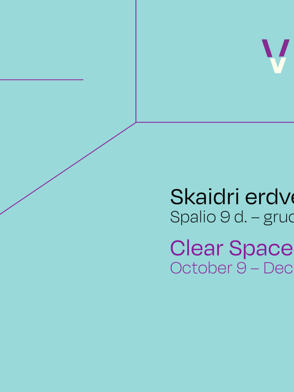 Skaidri erdve 1920x1080 su logu