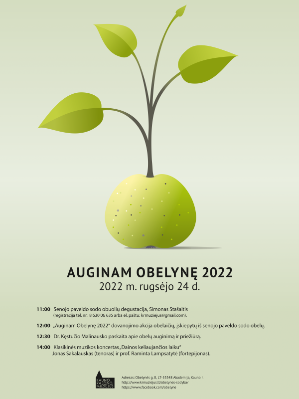 Auginam obelyne