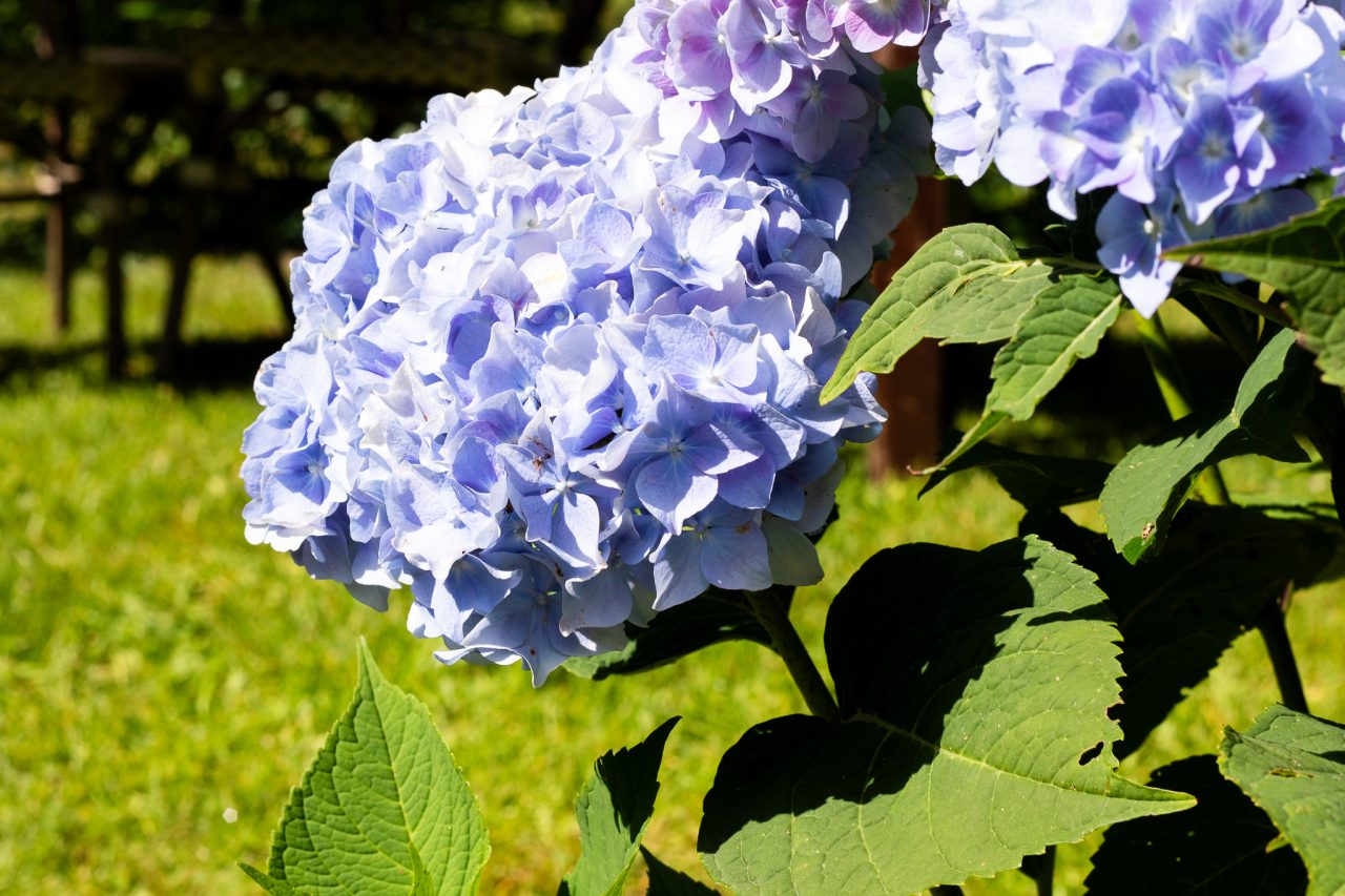 4C5A8577