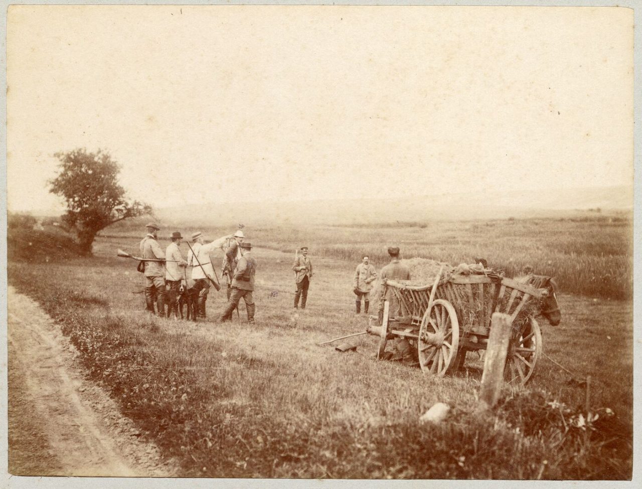 F 1063 8 av auksta